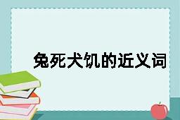 兔死犬饥的近义词