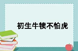 初生牛犊不怕虎的近义词