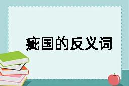 疵国的反义词