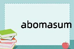 abomasum