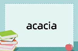 acacia