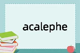 acalephe