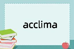 acclimatise