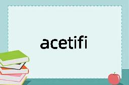 acetifier