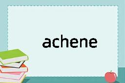 achene