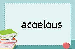 acoelous