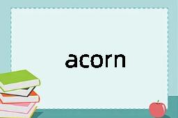 acorn