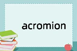 acromion