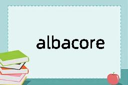 albacore