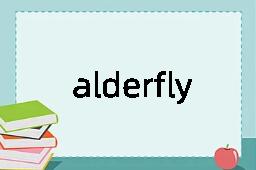 alderfly