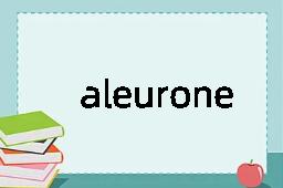 aleurone