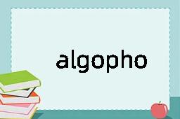 algophobia