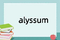 alyssum