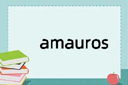 amaurosis