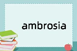 ambrosia