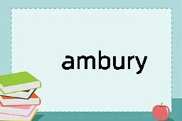 ambury