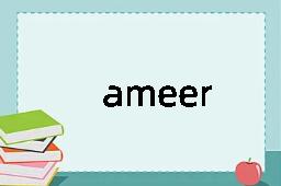 ameer