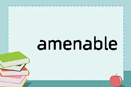 amenable