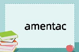 amentaceous