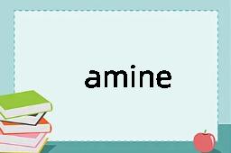 amine