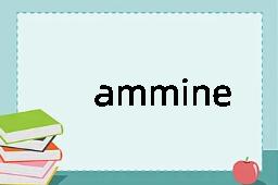 ammine