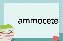 ammocete