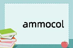 ammocolous