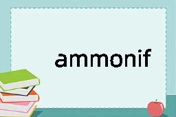 ammonification