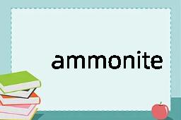 ammonite