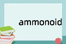 ammonoid