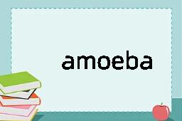 amoeba