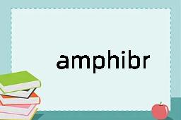 amphibrach