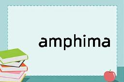 amphimacer