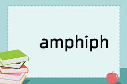 amphiphilic