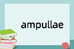 ampullae