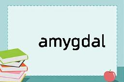 amygdalaceous