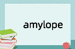 amylopectin