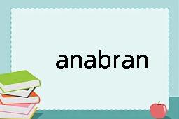 anabranch