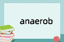 anaerobic