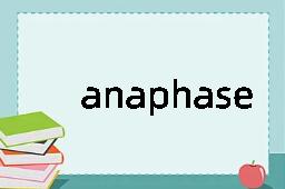 anaphase