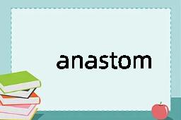 anastomose