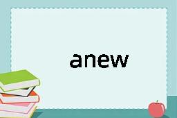 anew