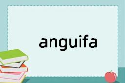 anguifauna