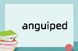 anguiped