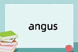 angus