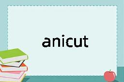 anicut