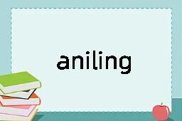 anilingus