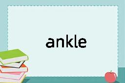 ankle