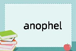 anopheles