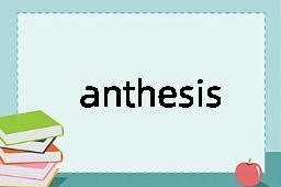 anthesis